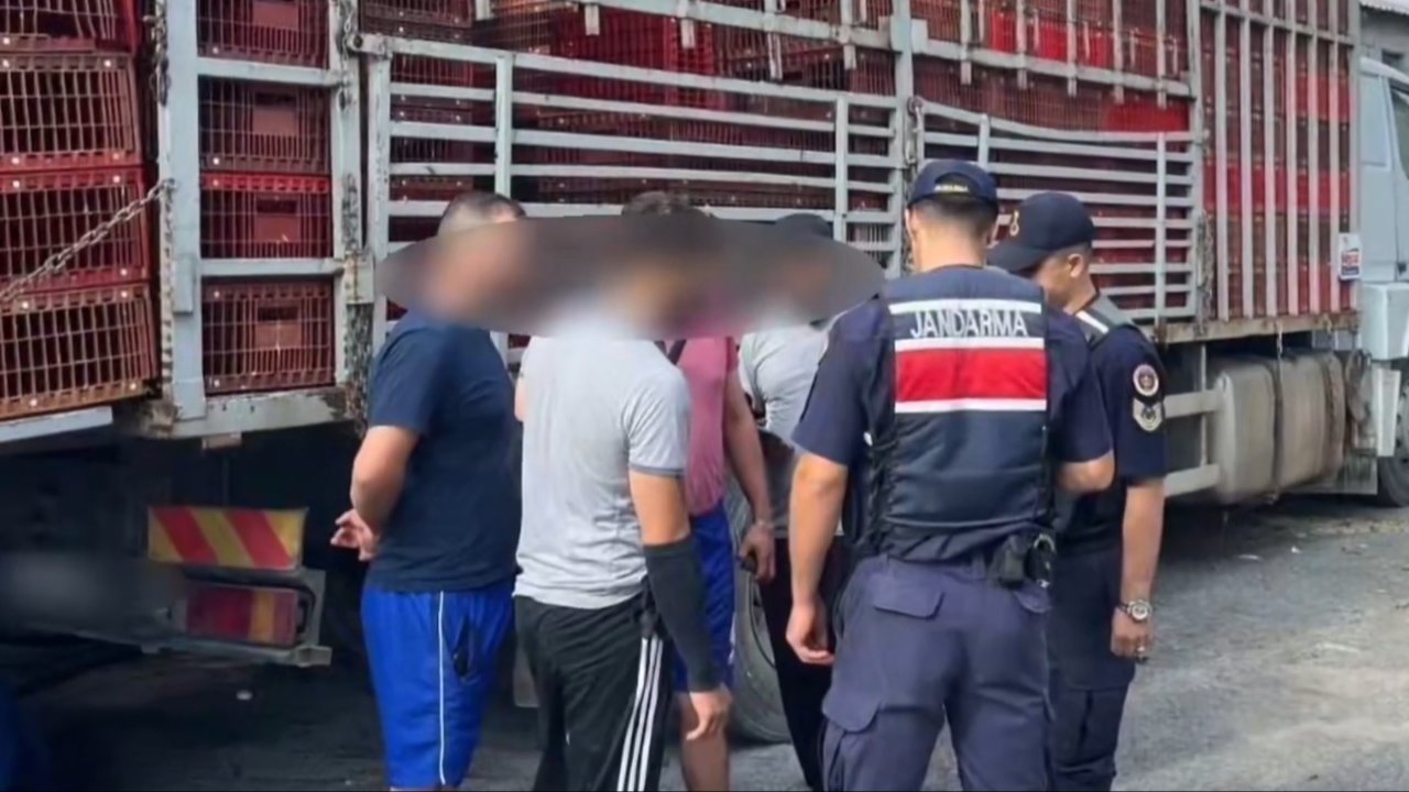 81 ilde kaçak göçmen operasyonu: 19 organizatör, 230 düzensiz göçmen yakalandı