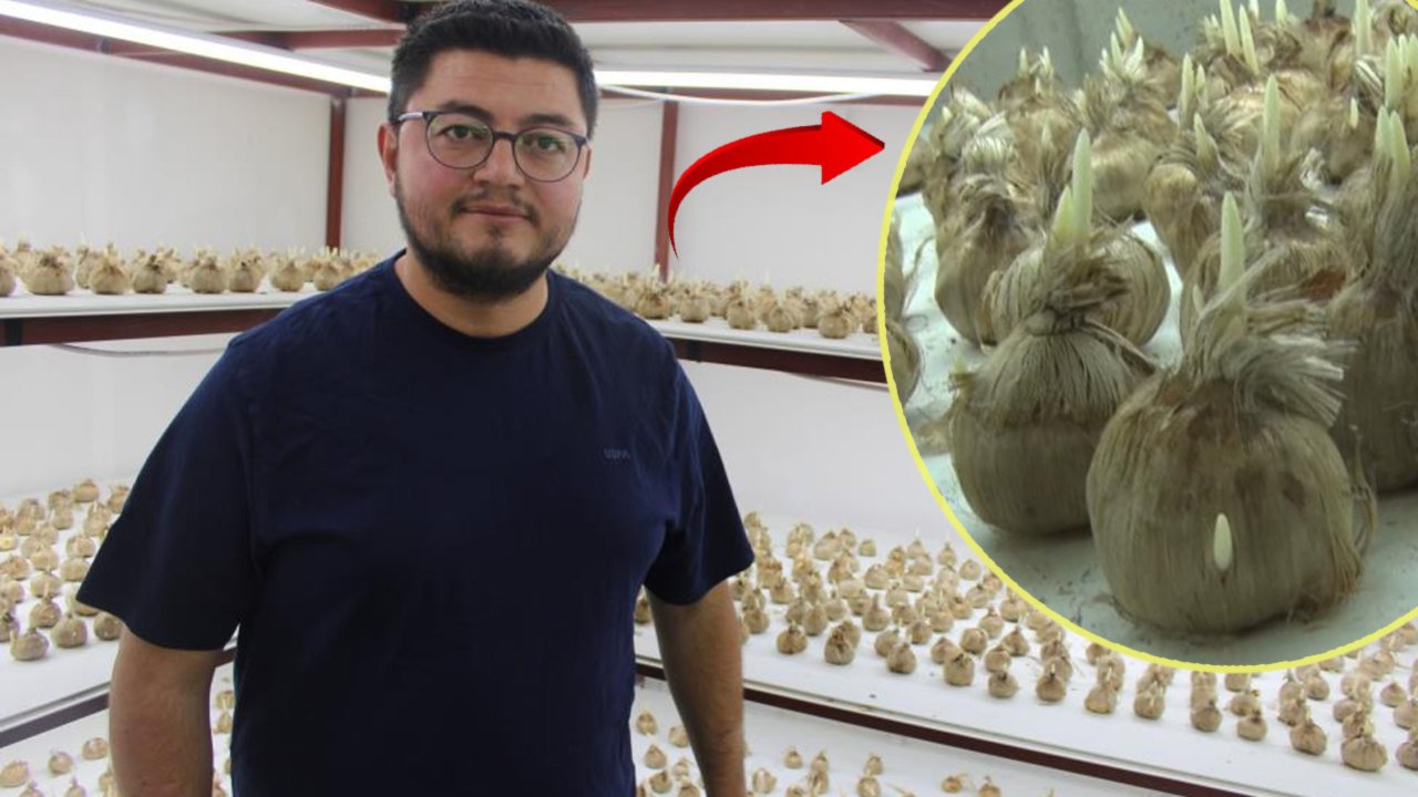 “Kayseri’de yetişmez” denildi! Dinlemeyip üretime geçti, kilosunu 900 bin TL’den satıyor