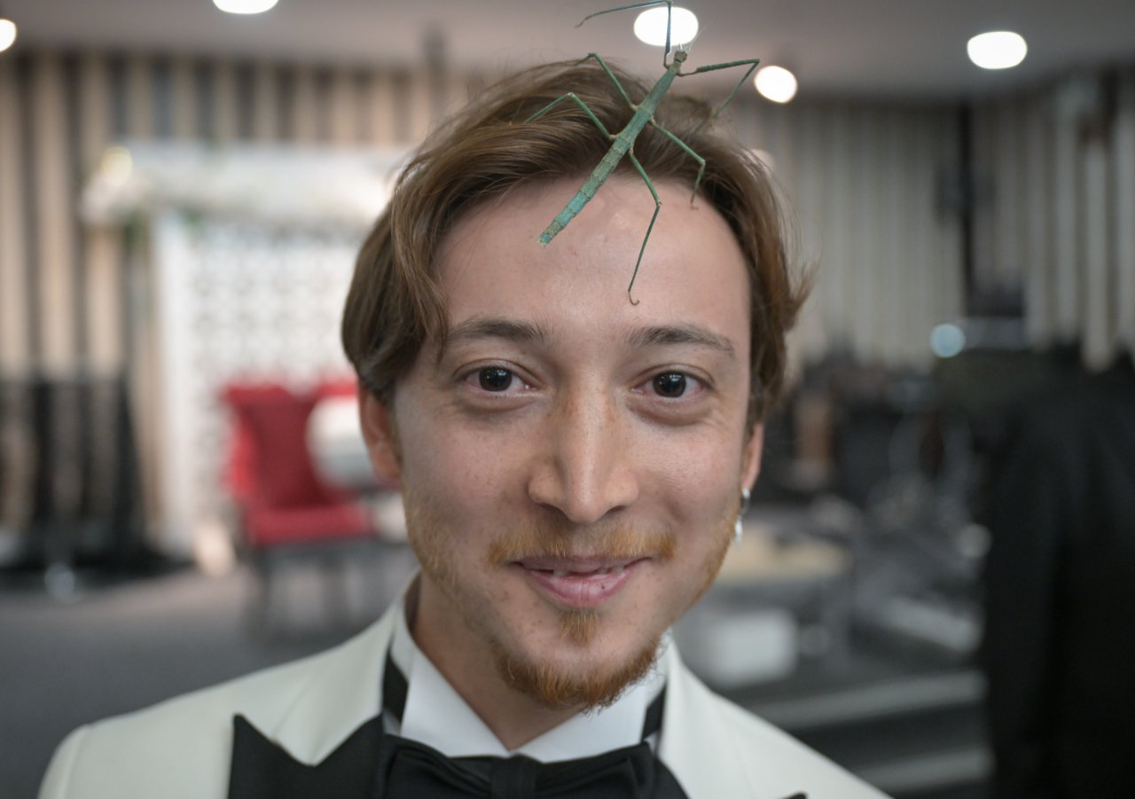 Böyle düğün görülmedi! Damada altın yerine egzotik hayvan hediye ettiler