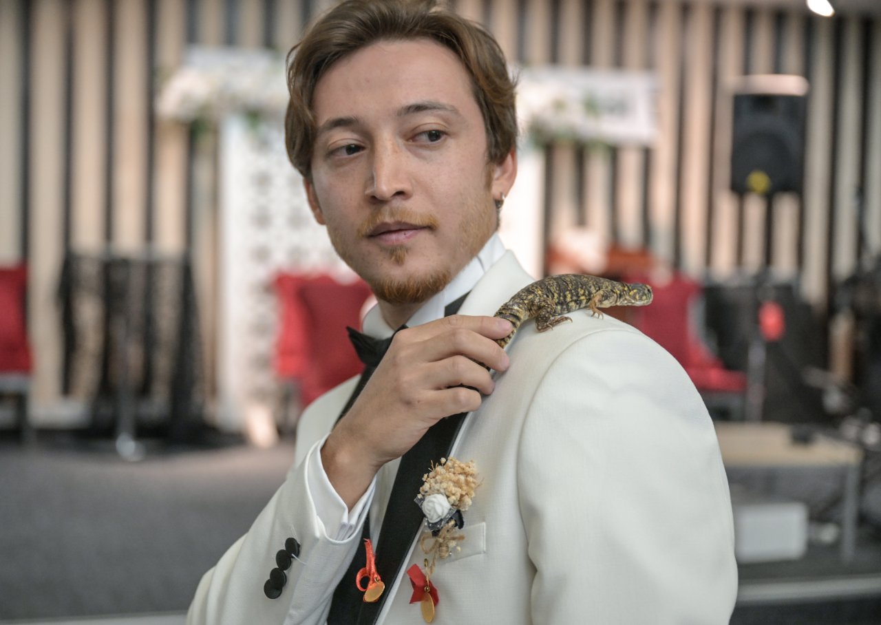 Böyle düğün görülmedi! Damada altın yerine egzotik hayvan hediye ettiler