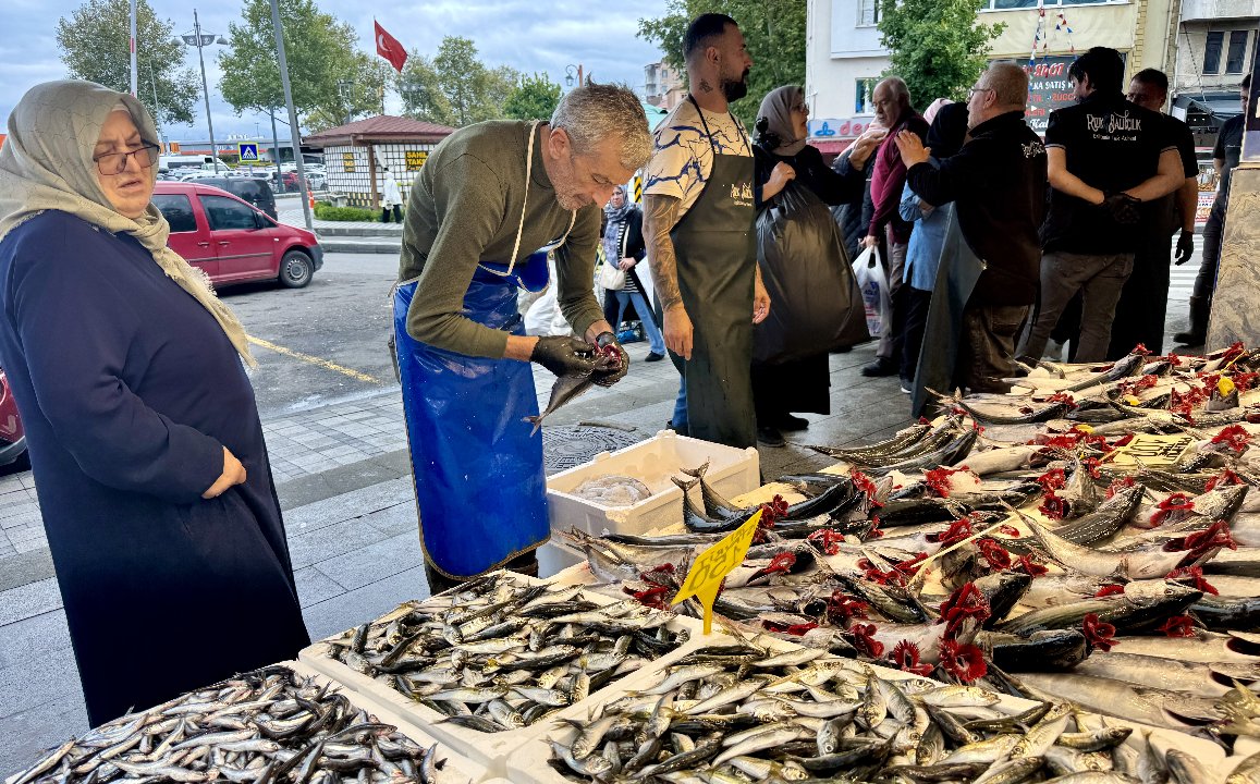 Palamut, istavrit, somon, çipura, levrek... İşte güncel balık fiyatları 