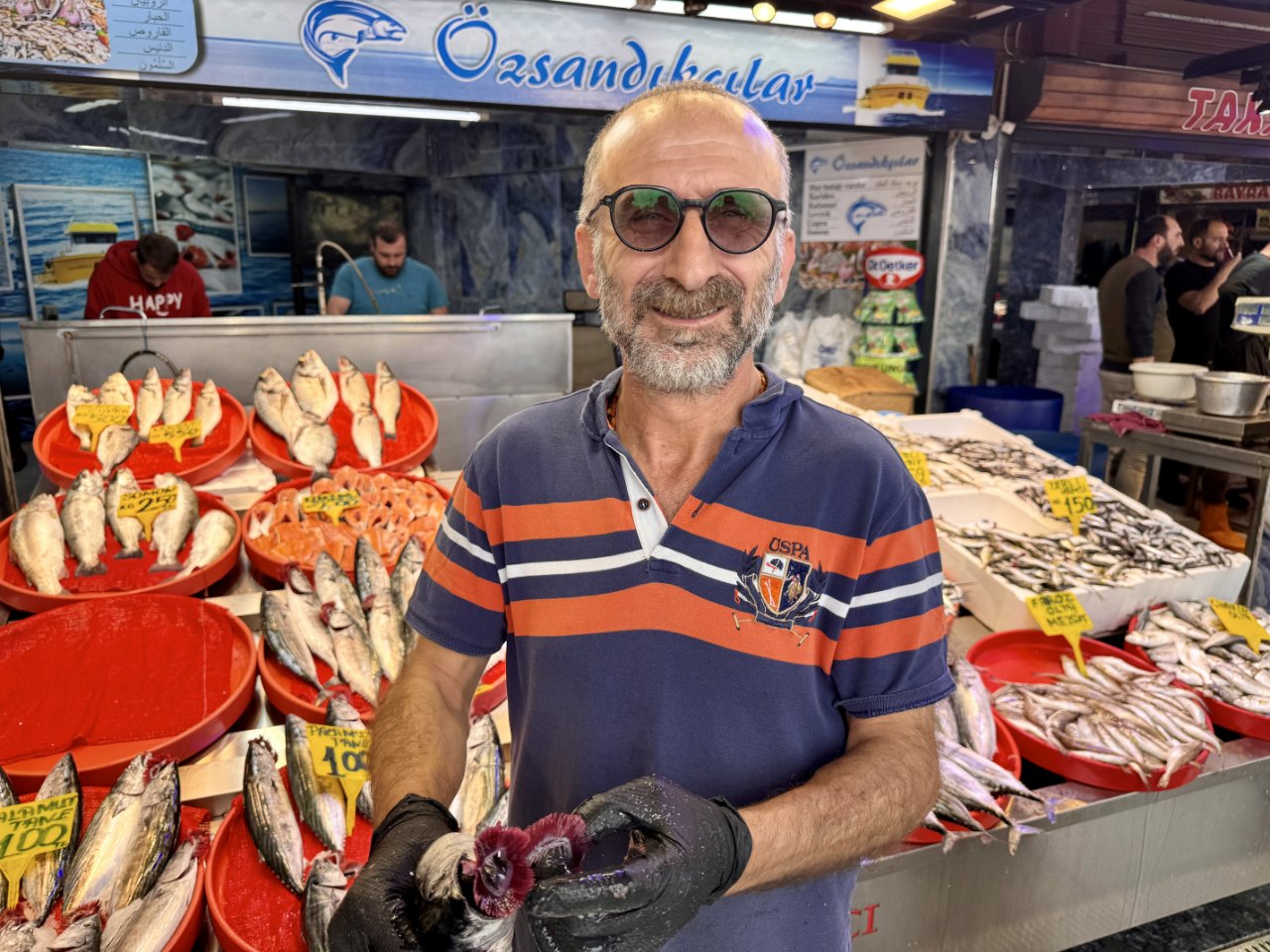 Palamut, istavrit, somon, çipura, levrek... İşte güncel balık fiyatları