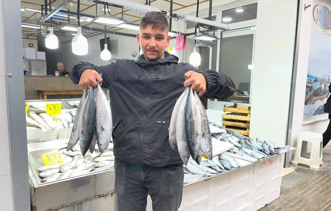 Palamut sezonun en dip fiyatını gördü