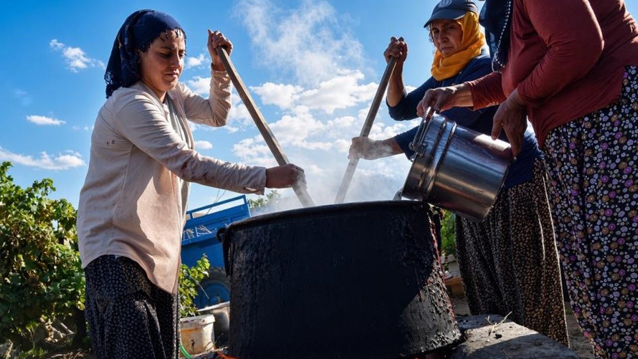 Kışın çerez niyetine tüketiliyor! Asırlık lezzet: Yurt dışından isteyen var