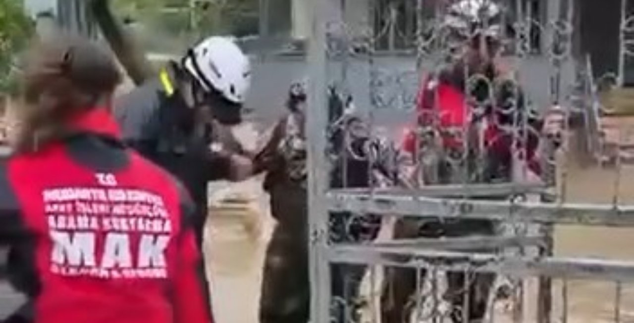 Sel suları arasında çaresiz bekleyiş! Ekiplerin zorlu hava şartlarındaki kurtarma operasyonu