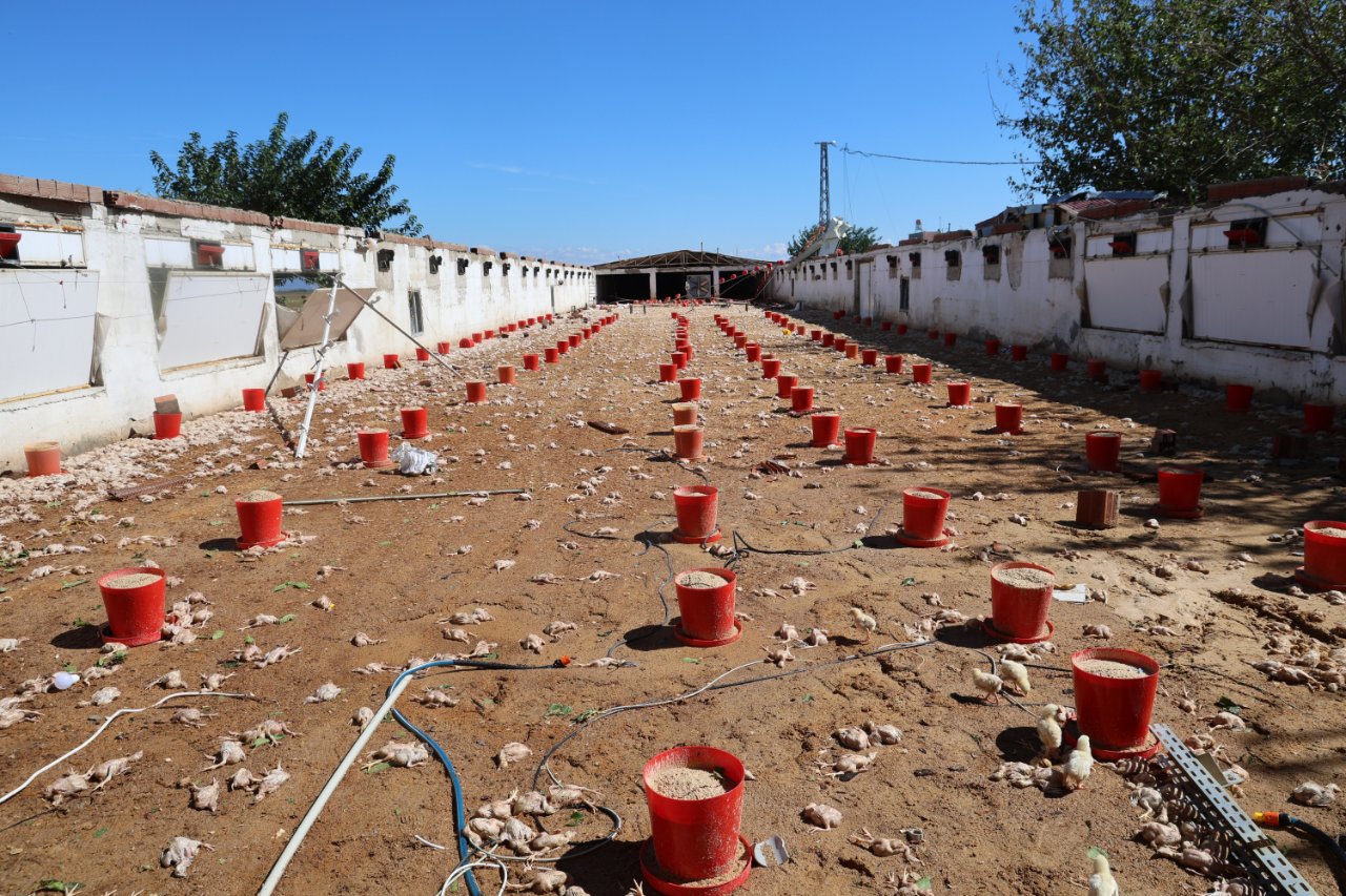 Süper hücre vurdu, 15 dakikada her şey yerle bir oldu! 50 milyon liralık zarar verdi