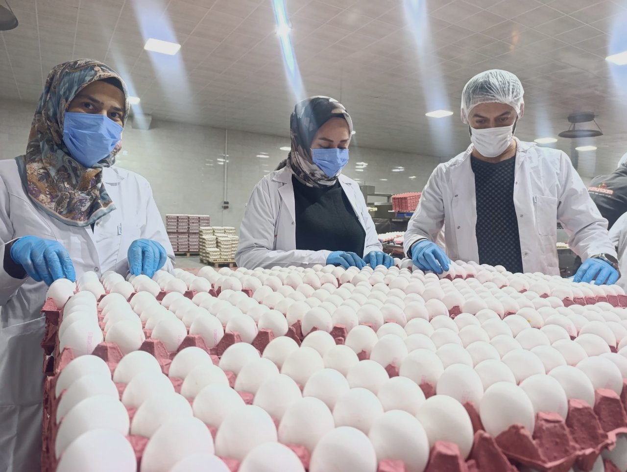 Yumurta fiyatlarına zam yapılacak mı? Sektörden beklenen açıklama geldi