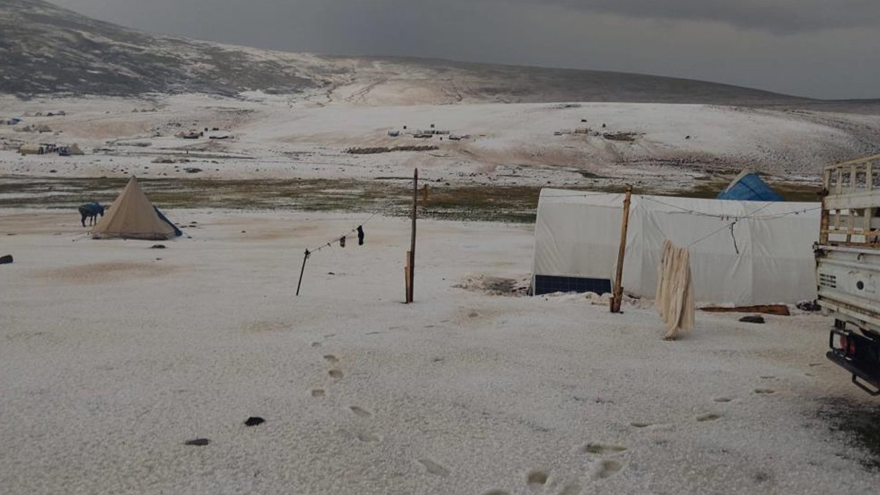 Erzincan yaylaları beyaza büründü! Sebebi kar değil