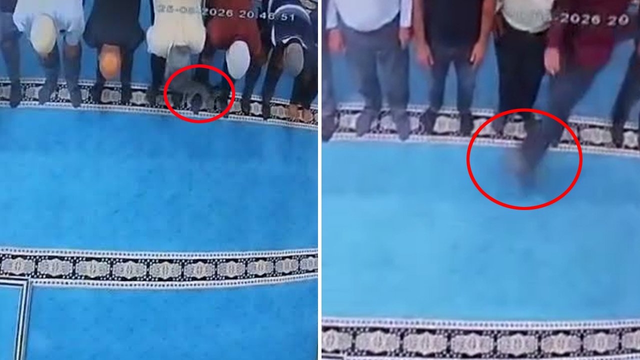 Erzurum'da infiale yol açan olay: Camide kediyi tekmeledi, başsavcılık harekete geçti