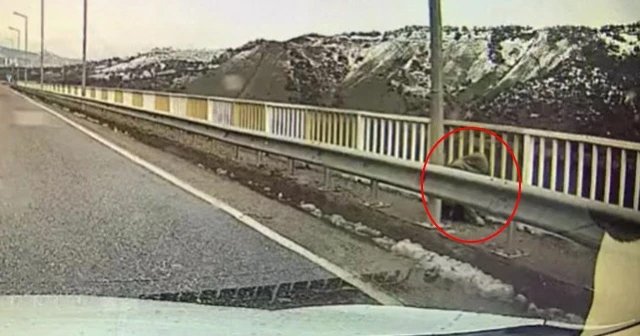 Gülistan Doku'nun son görüldüğü köprü