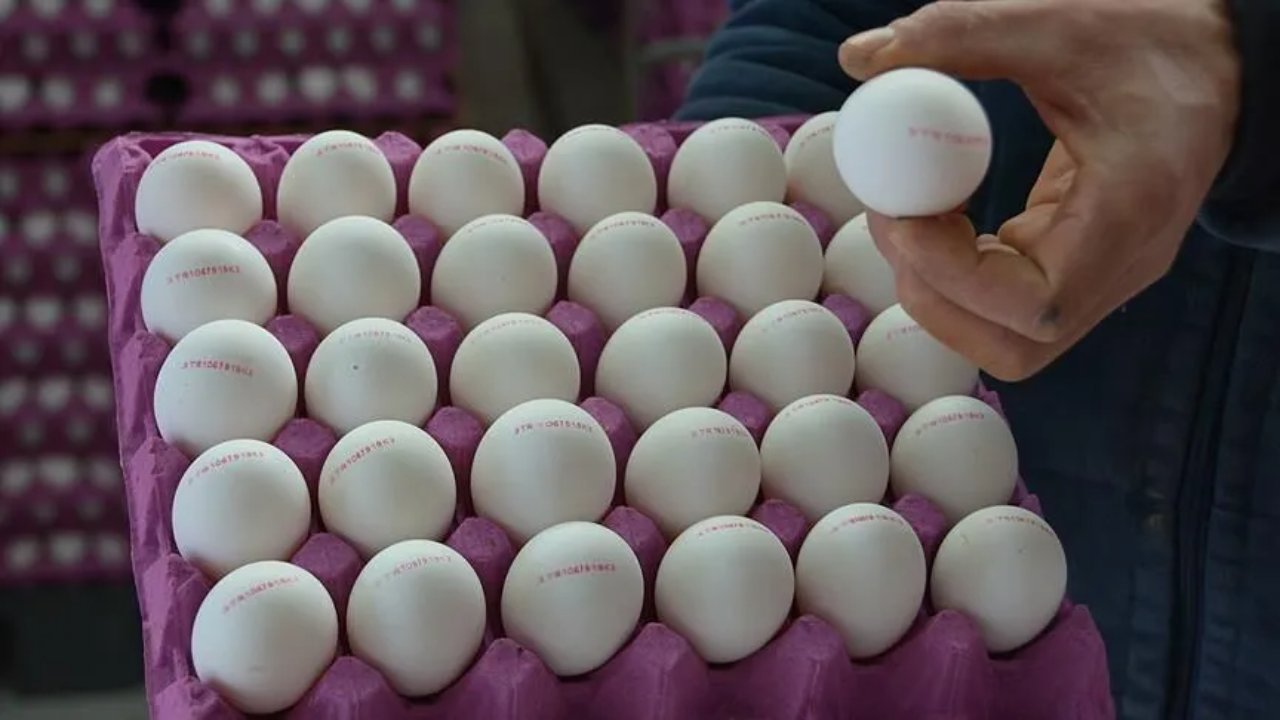 Kaç paraya satılmalı? Üreticiler, 30'lu yumurtanın ideal fiyatını açıkladı 