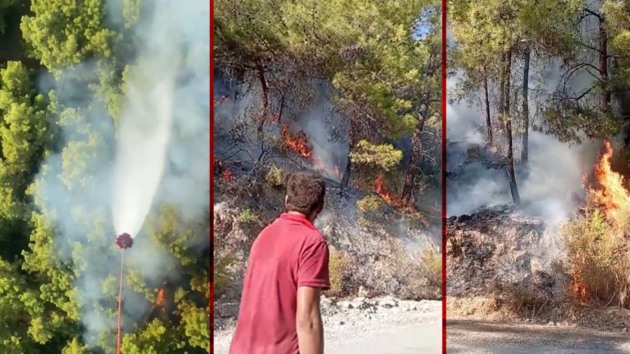 Yine Manavgat yine yangın: Örenşehir Mahallesi'nde başlayan alevlere müdahale ediliyor