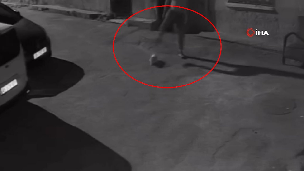 İzmir'de vicdanları sızlatan görüntü! Köpeğini tekmeleyip yerlerde sürükleyen şahıs yakalandı