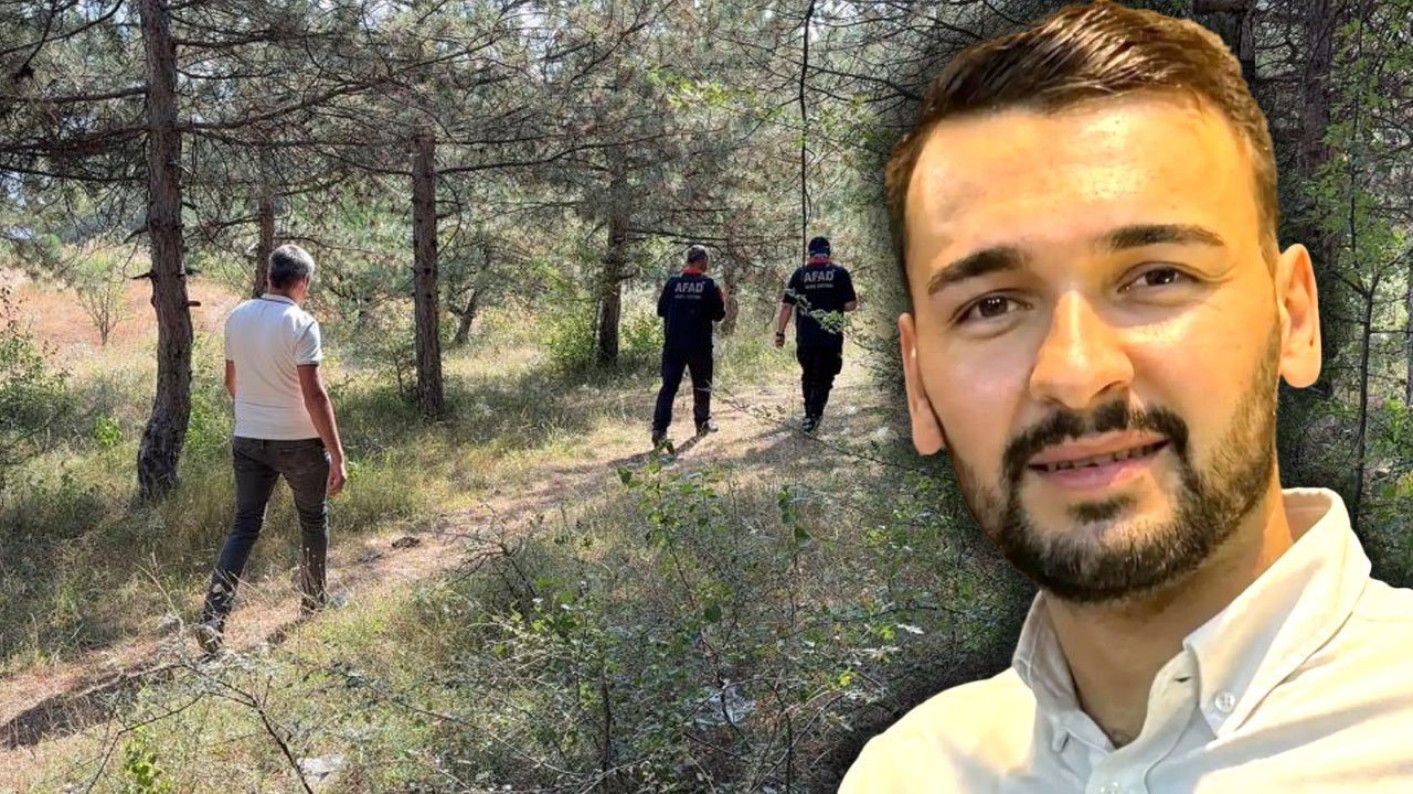 NE MEZARLIK KALDI NE ORMAN