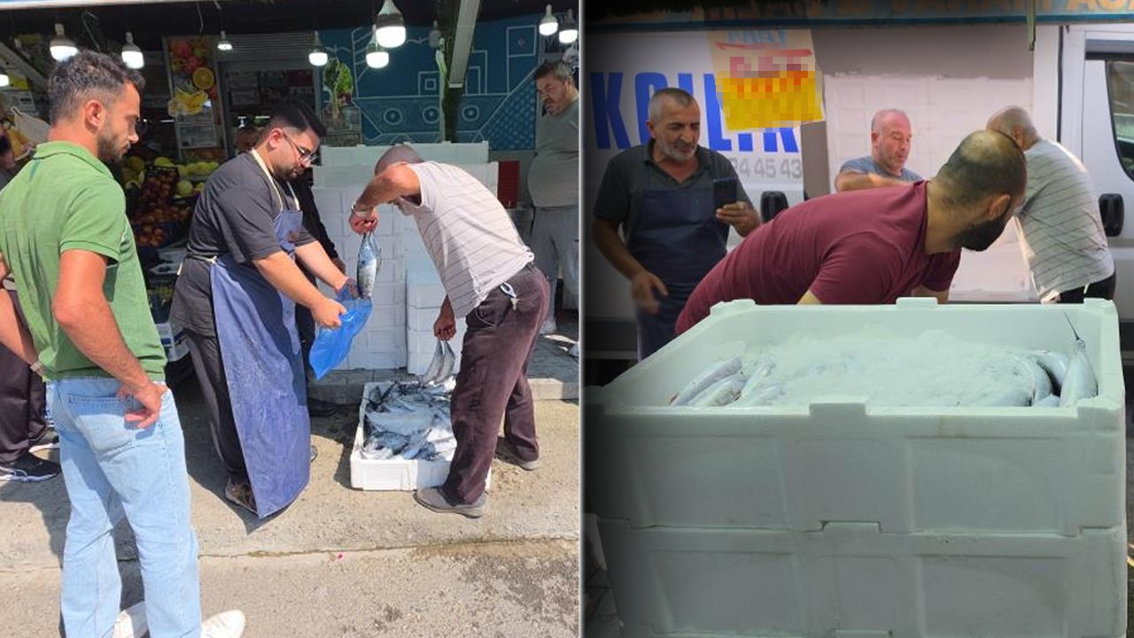 Palamudun fiyatını gören sıraya girdi! Kapış kapış satılıyor 