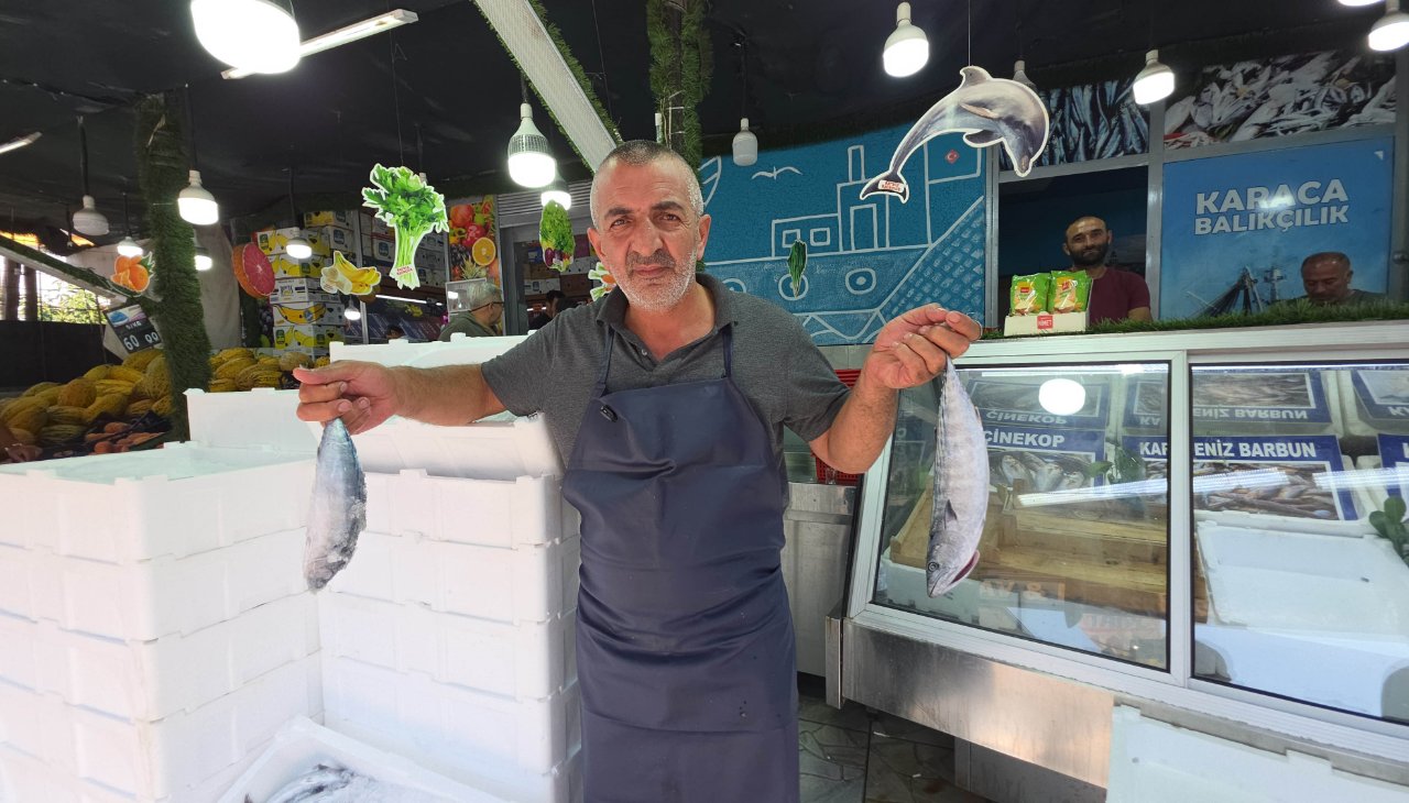 Palamudun fiyatını gören sıraya girdi! Kapış kapış satılıyor