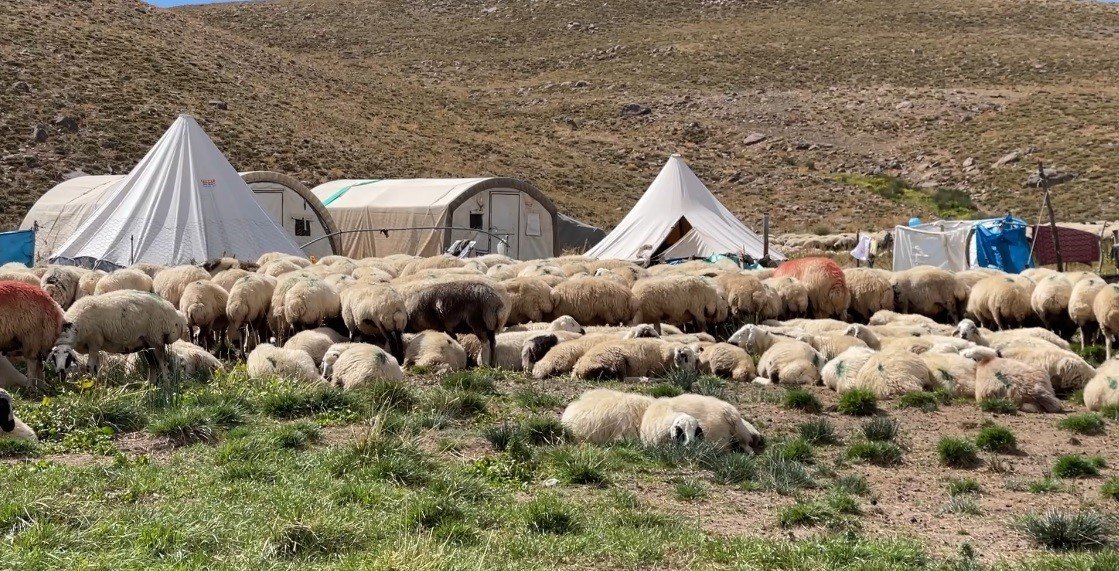 Aylık 150 bin lira maaş, yemek ve yatacak yer… Yine de çalışacak kişi bulamıyorlar