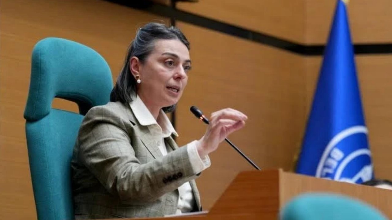 Sinem Dedetaş
