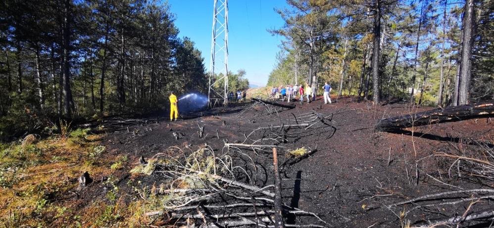 Bolu'da sıcak saatler... Ormandaki yangının sebebi duyanları şoke etti