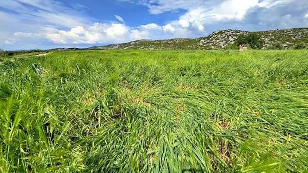 Tarlada 'mühimmat' alarmı! Bölge güvenlik çemberine alındı