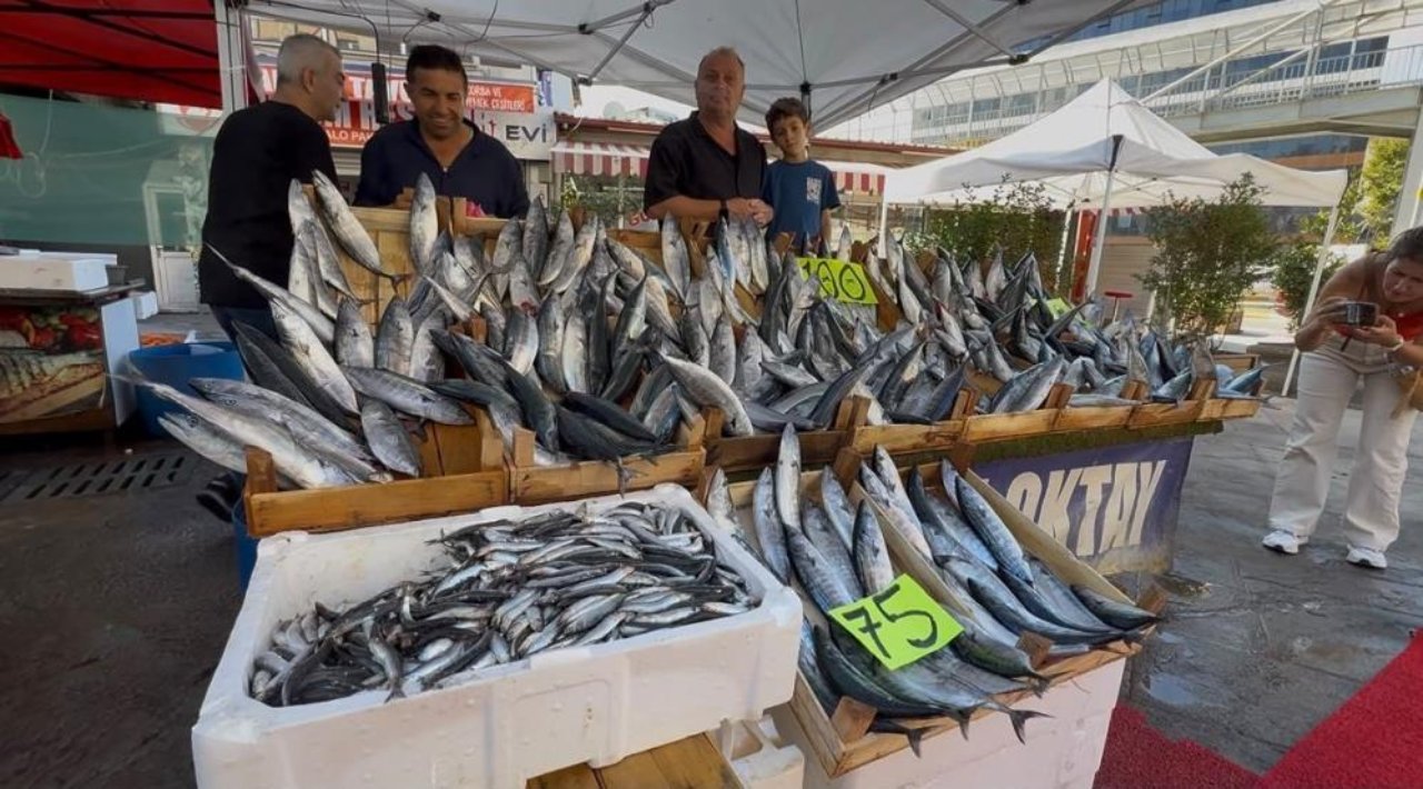 Fiyatını duyan tezgaha koştu! Palamut sezonu açıldı