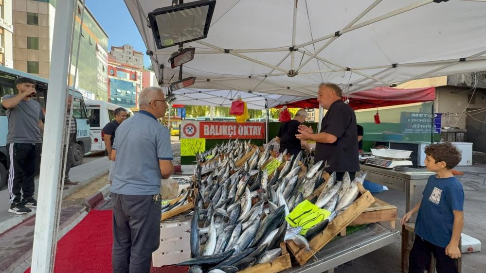 Fiyatını duyan tezgaha koştu! Palamut sezonu açıldı
