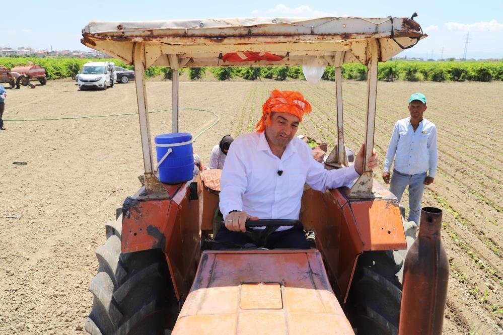 Saruhanlı Belediye Başkanı Ekrem Cıllı üzüm hasadında elini makineye kaptırdı