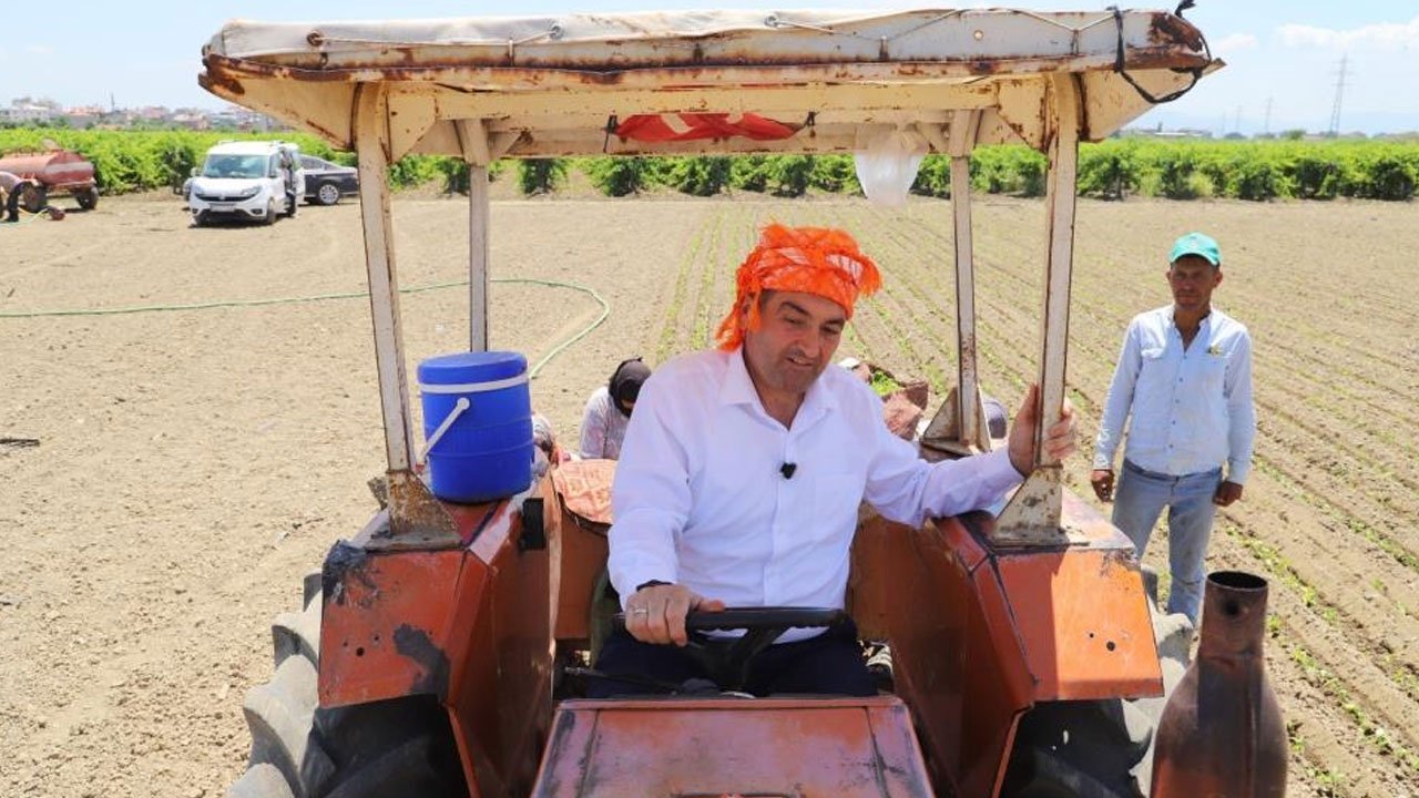 Üzüm hasadında hastanelik olmuştu... Saruhanlı Belediye Başkanı Ekrem Cıllı taburcu oldu