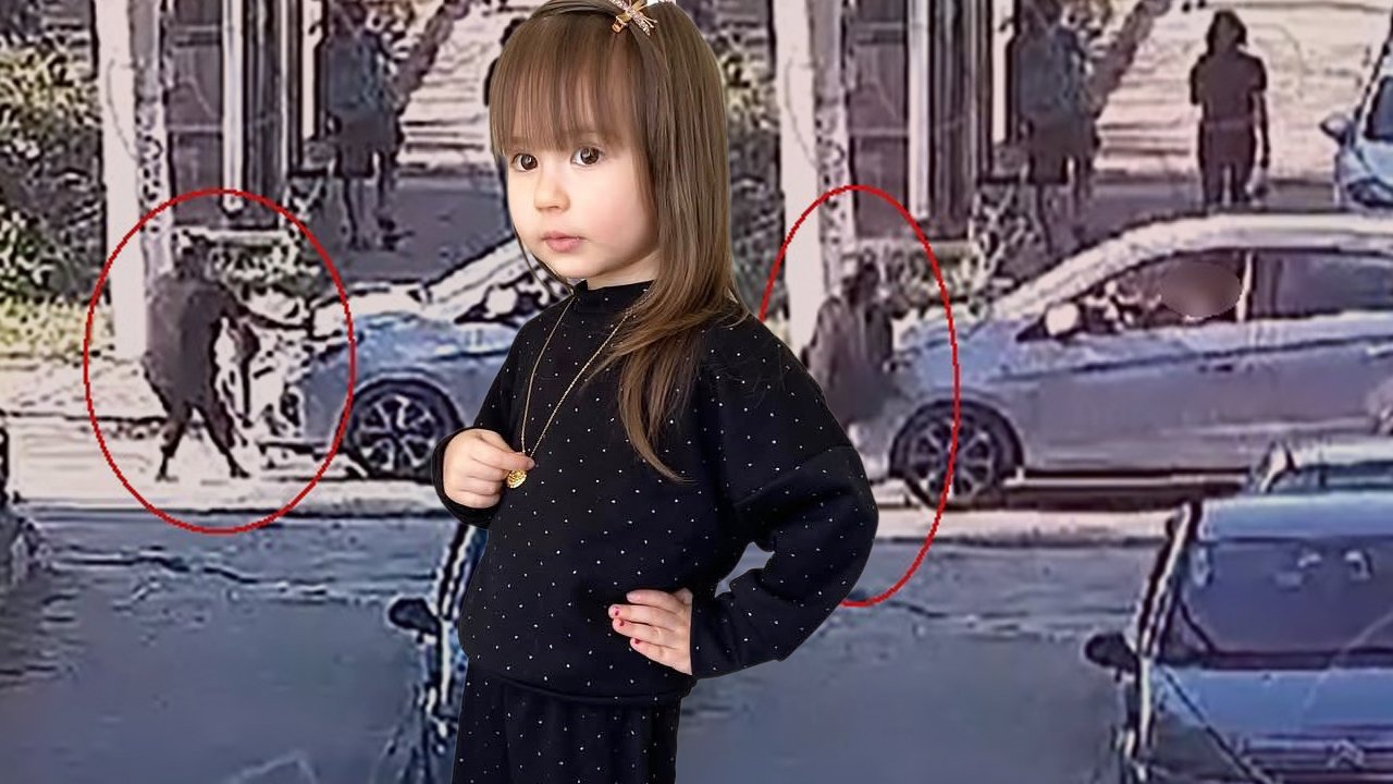4 yaşındaki Elif Mavi’nin ölümünde yeni karar! Sürücü tekrar gözaltında