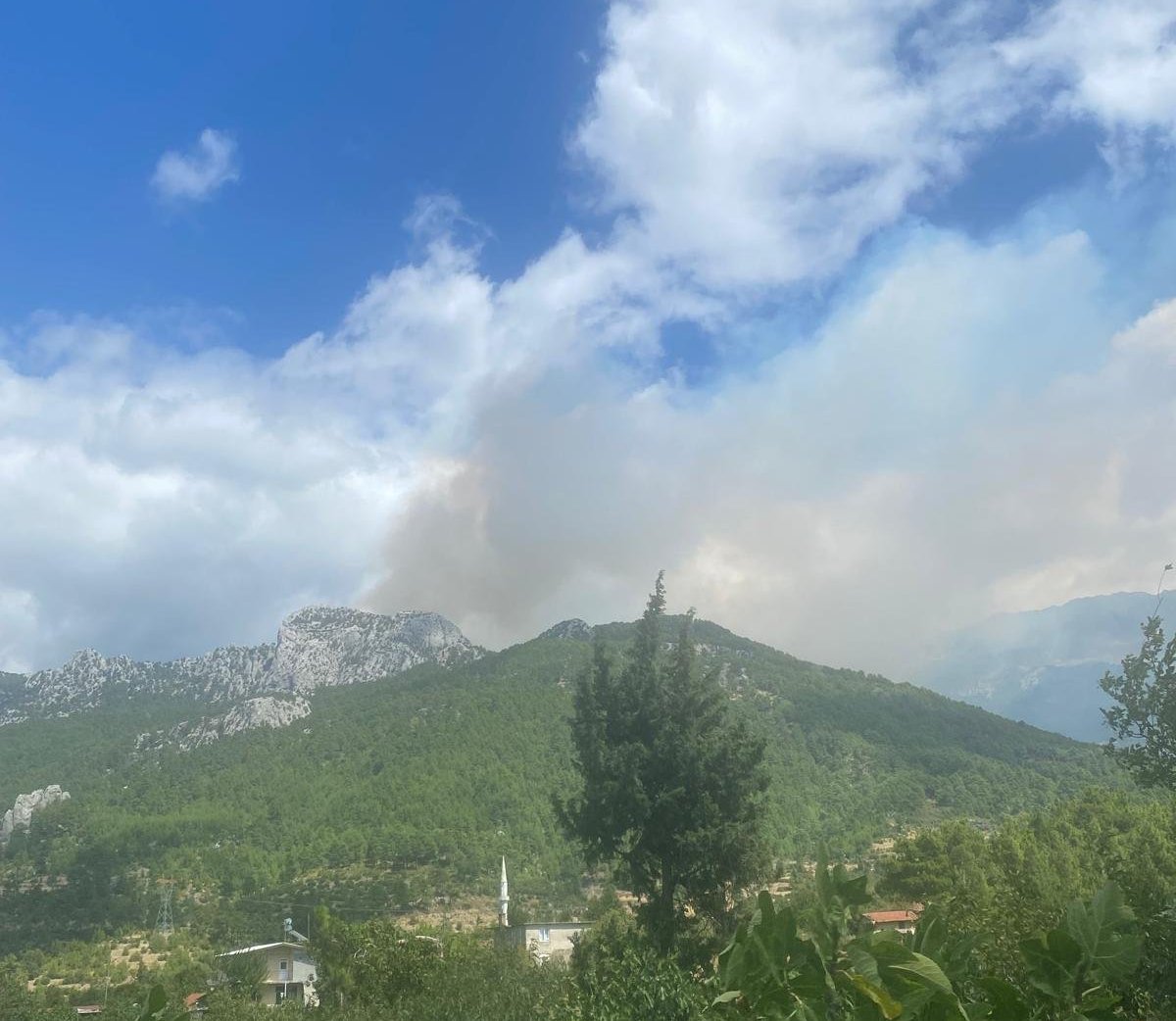 Düzağaç mahallesindeki yangından fotoğraf
