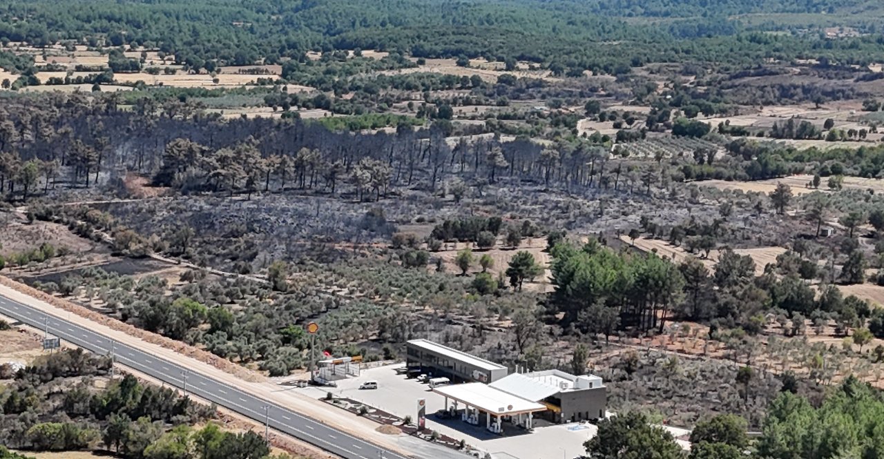 Alevlerden geriye küle dönen ormanlar kaldı! Muğla'da iç acıtan görüntü