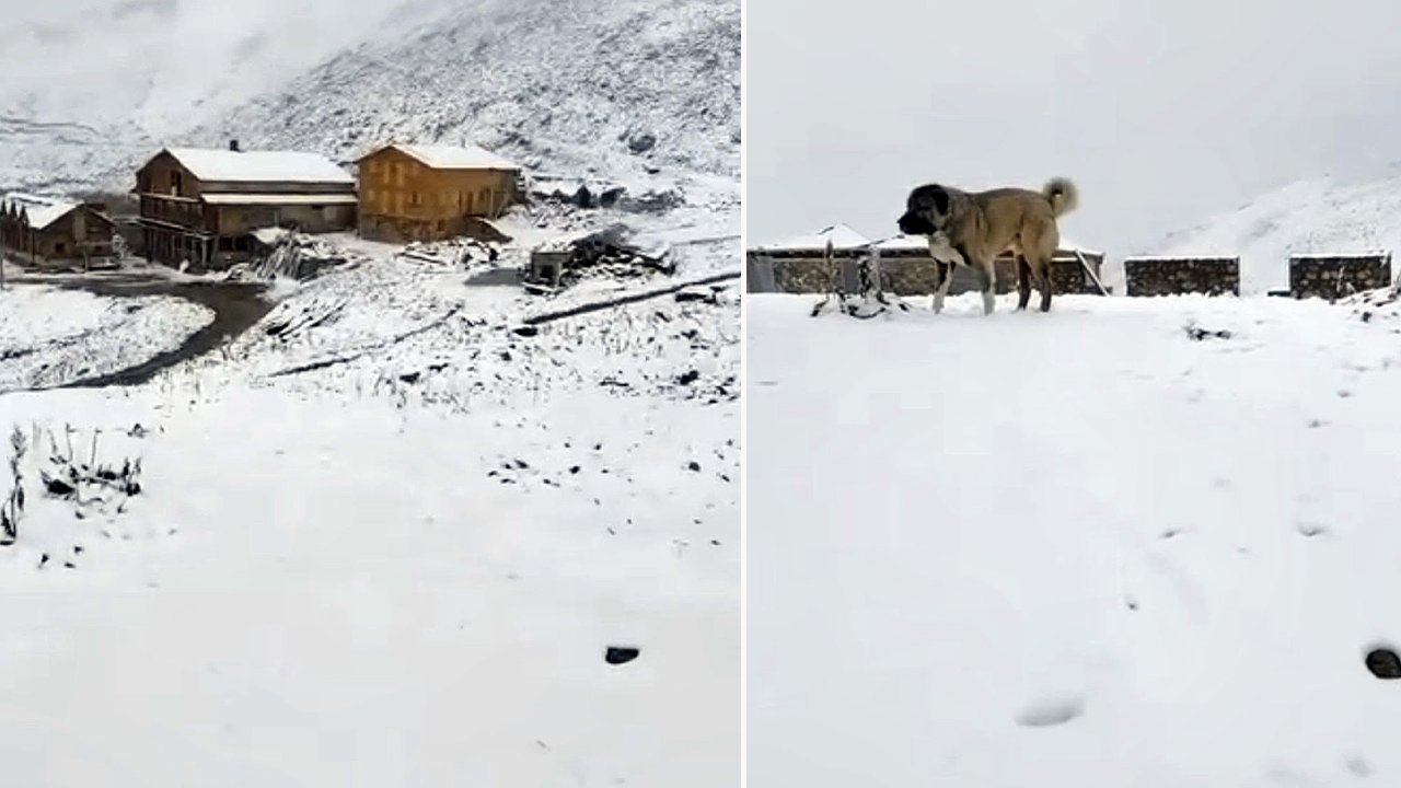 Eylül ayında kış sürprizi! Rize’nin ünlü yaylası beyaza büründü
