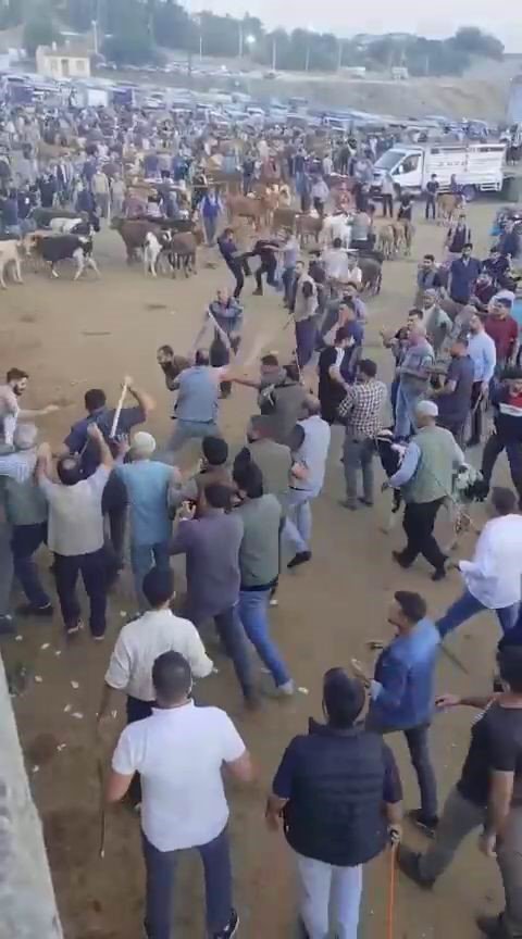 Kimse kimseye acımadı! Taşlı sopalı kavgada ortalık savaş alanına döndü