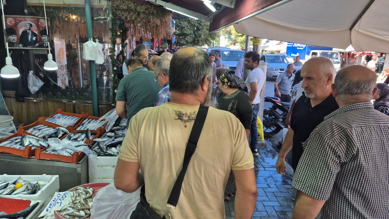 Palamut sudan ucuz! Fiyat bakın kaç liraya düştü