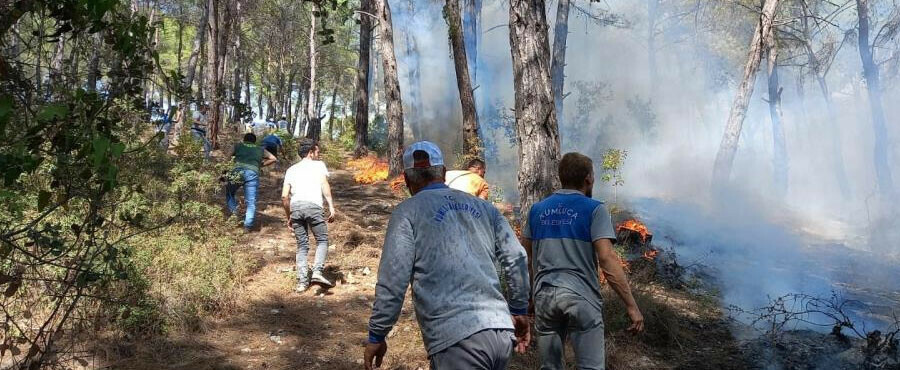 Antalya'da orman yangını: Havadan ve karadan müdahale ediliyor