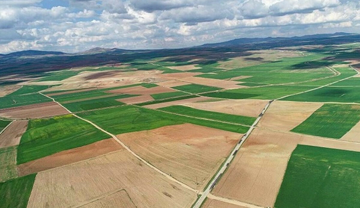 1 milyon arsaya başvuru zamanı