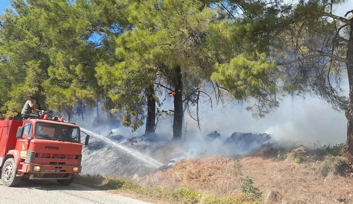 Antalya'da orman yangını: Havadan ve karadan müdahale ediliyor Antalya'da orman yangını: Havadan ve karadan müdahale ediliyor
