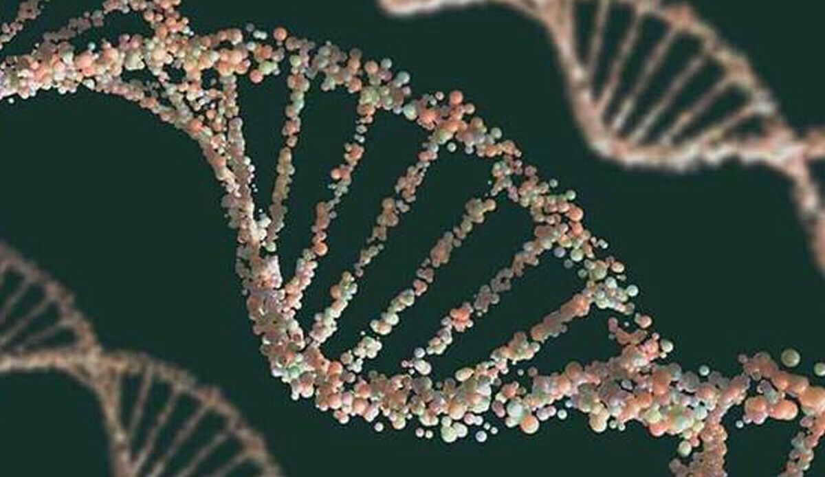 1 milyon yıllık DNA keşfedildi 1 milyon yıllık DNA keşfedildi