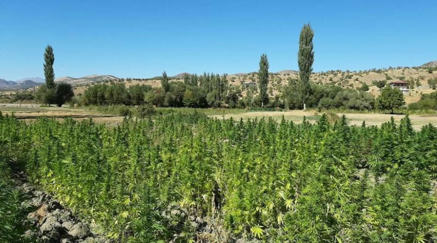 Terörün finansman kaynağı ablukaya alındı: Diyarbakır’da 565 kilogram uyuşturucu ele geçirildi