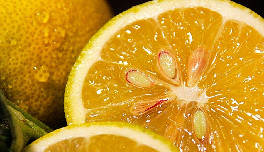 Bağışıklığı güçlendiriyor, hastalıkların kökünü kazıyor… İşte uzmanından sonbahar için şifalı içecek Bağışıklığı güçlendiriyor, hastalıkların kökünü kazıyor… İşte uzmanından sonbahar için şifalı içecek