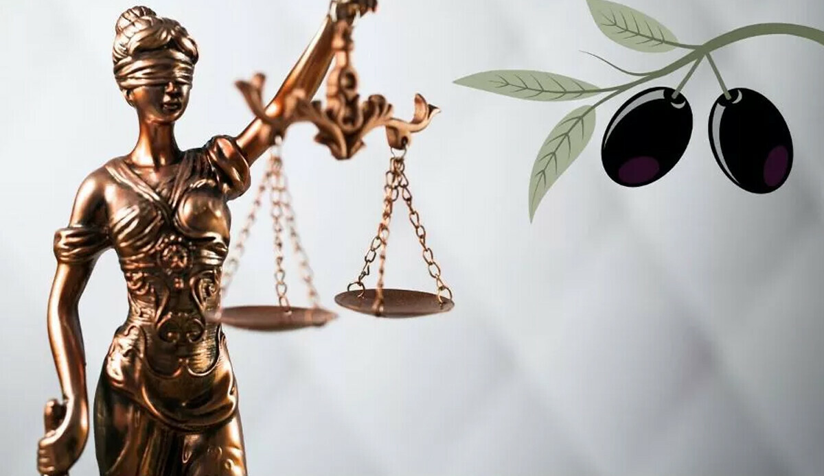 Zeytin Yasasında düzenleme ne getiriyor?
