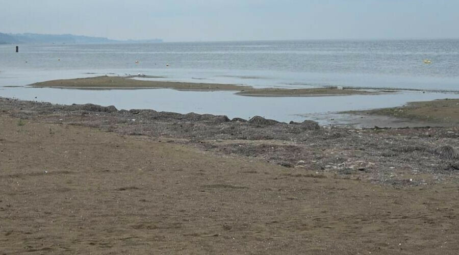 Yalova’da endişelendiren görüntü Yalova’da endişelendiren görüntü