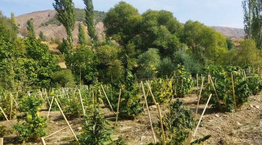 Diyarbakır’da Eren Abluka Sonbahar-Kış 3 operasyonu başlatıldı