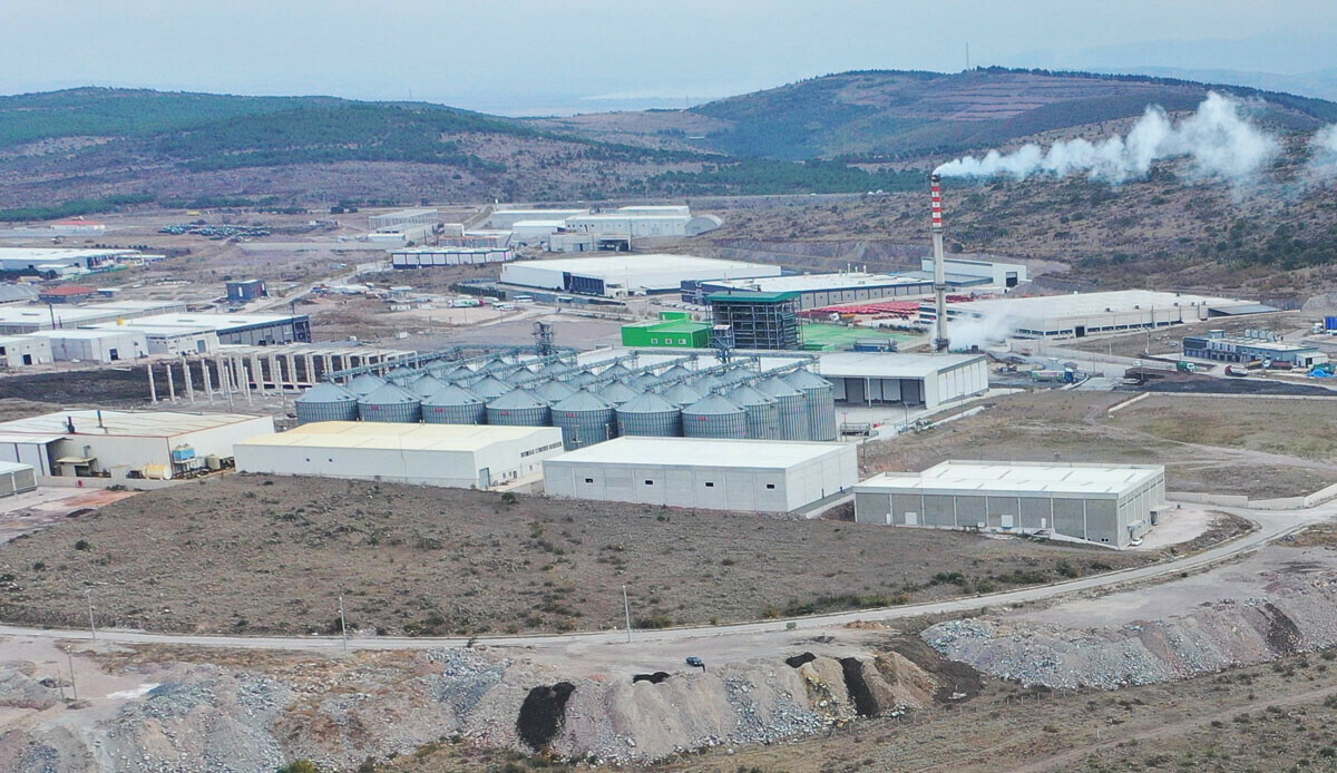 Bakan Kirişçi müjdeyi duyurdu! 10 bin kişiye gelir kapısı: Yıllık 250 bin ton sebze üretilecek