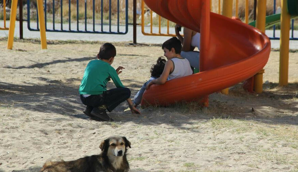 Köpek saldırılarına bir yenisi daha! İki küçük kardeş 3 gün arayla dehşeti yaşadı Köpek saldırılarına bir yenisi daha! İki küçük kardeş 3 gün arayla dehşeti yaşadı