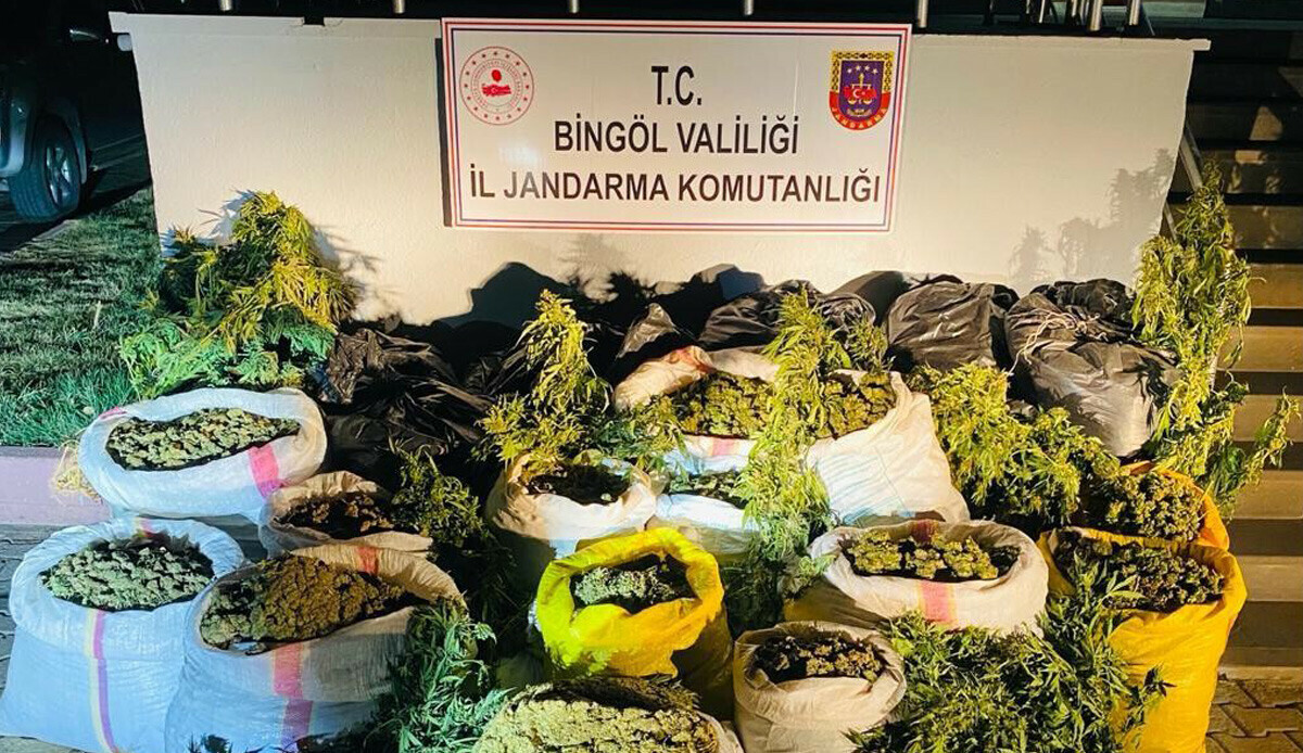 PKK terörünün finans kaynağına bir darbe daha: 6 milyon 400 bin kök kenevir ele geçirildi PKK terörünün finans kaynağına bir darbe daha: 6 milyon 400 bin kök kenevir ele geçirildi