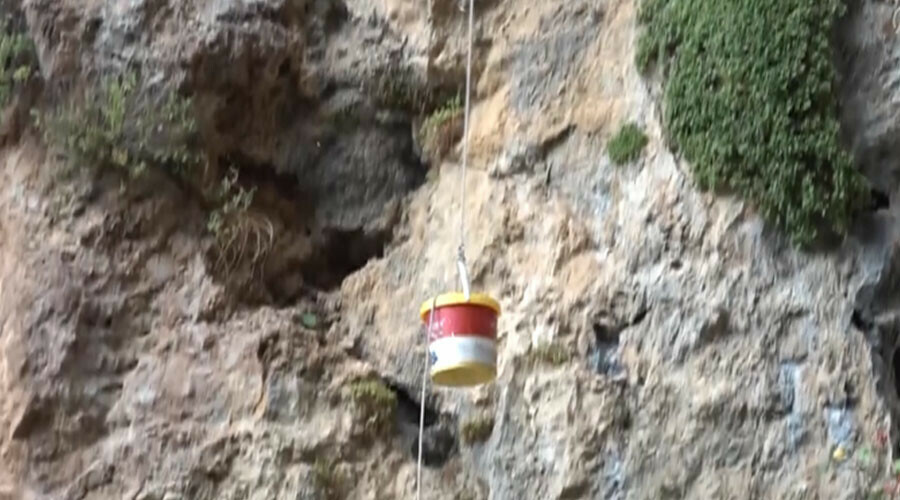 Birçok hastalığa iyi geliyor... Altın kadar değerli, kilosu 3 bin TL! Birçok hastalığa iyi geliyor... Altın kadar değerli, kilosu 3 bin TL!