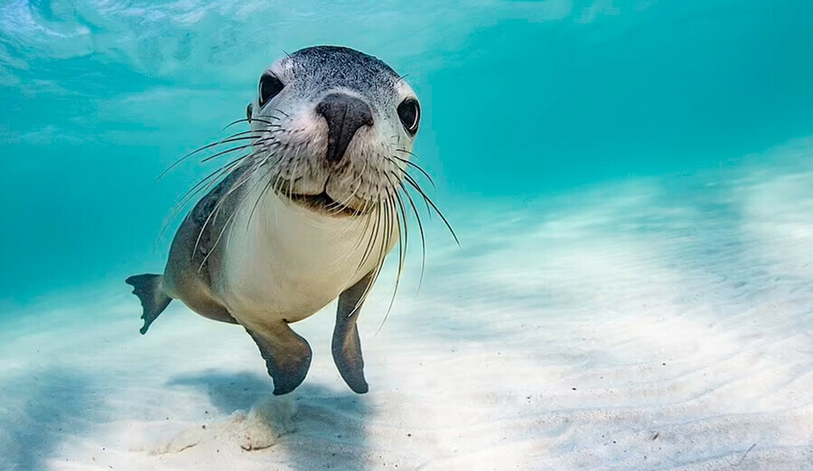 Saklı güzellikler! Fotoğraf yarışması ortaya çıkardı
