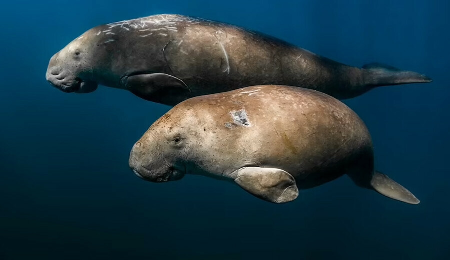 Saklı güzellikler! Fotoğraf yarışması ortaya çıkardı