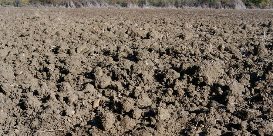Kuraklık raporu korkuttu: Toprak taşa döndü, çiftçi ekim yapamıyor